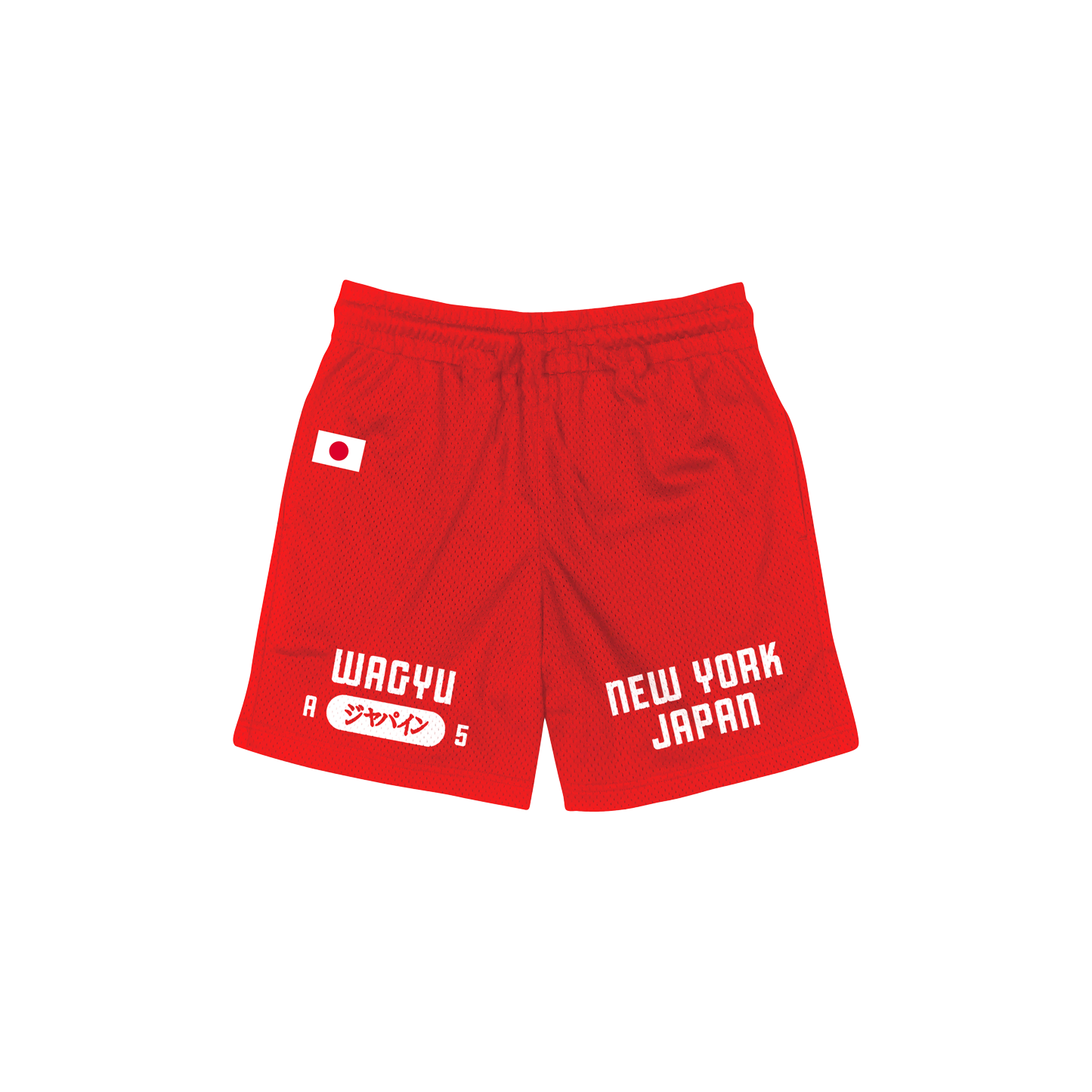 HOU Varsity Mesh Shorts
