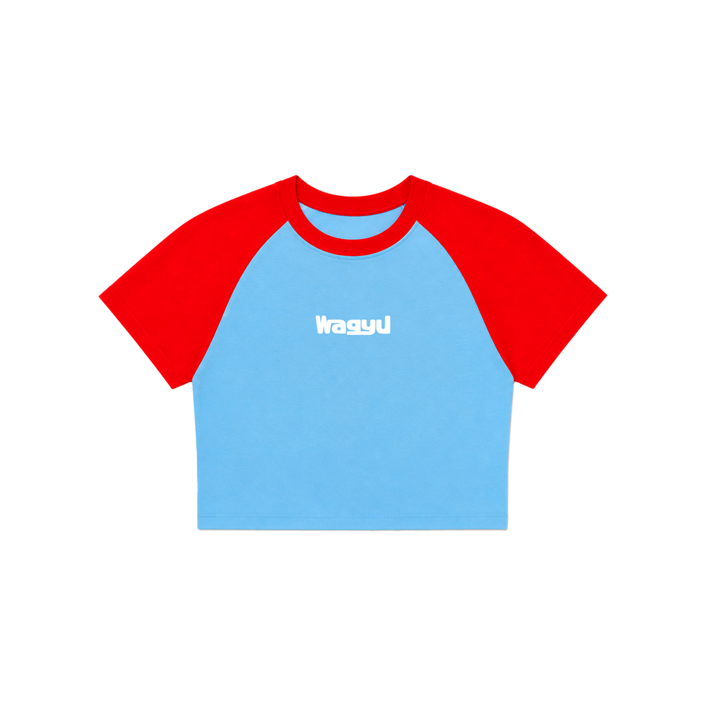 Blue Raglan Crop Top