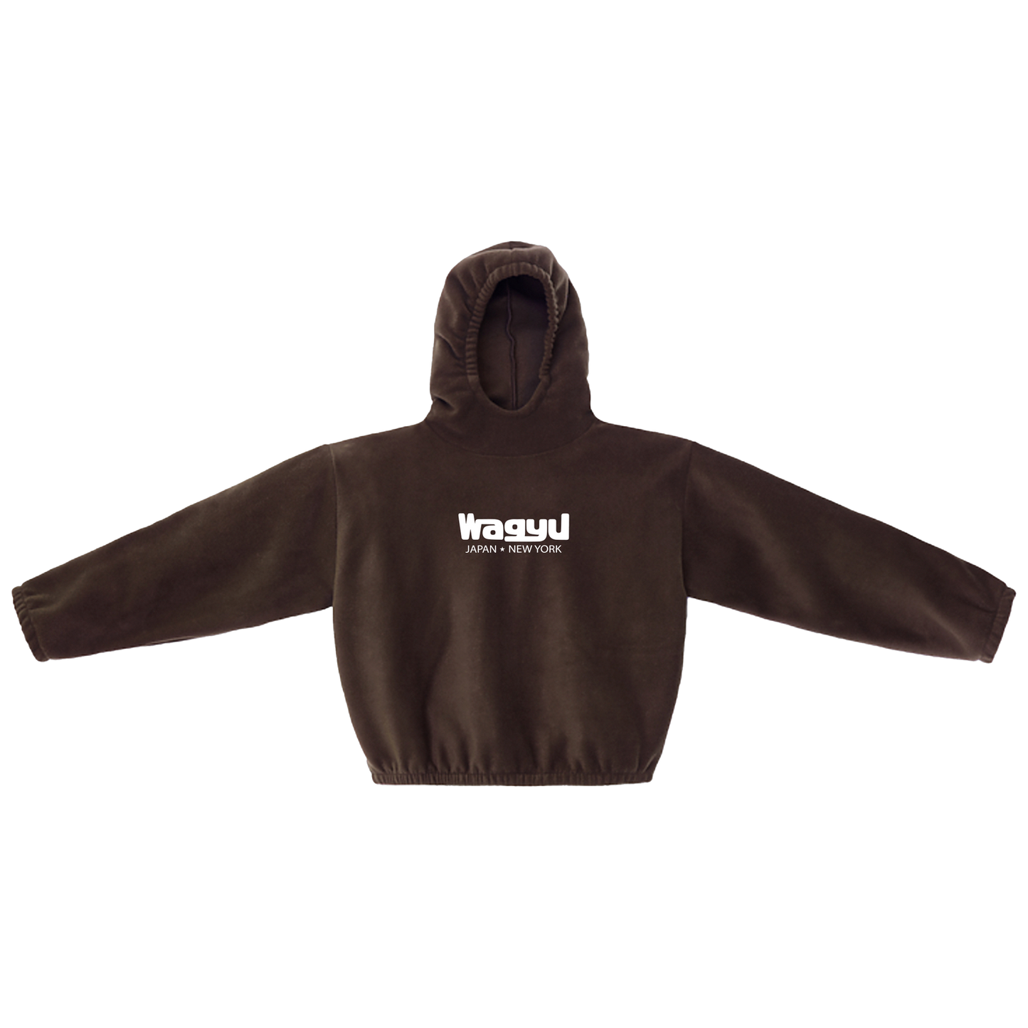 Polar Fleece Pullover Brown
