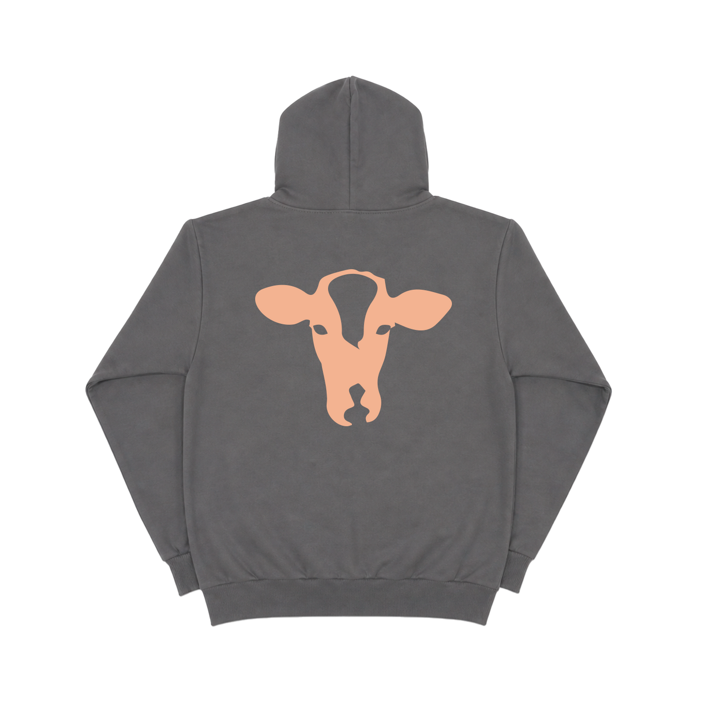 Grey Collegiate Logo 2.0 Zip-Up Hoodie