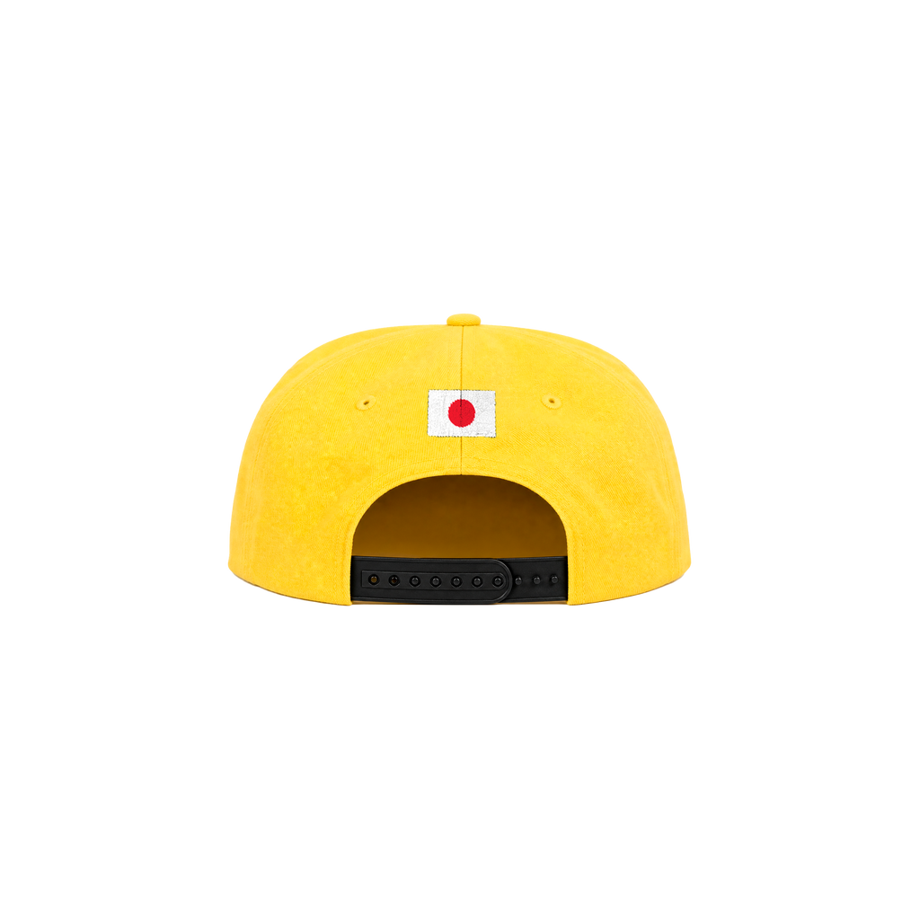Platter Cap