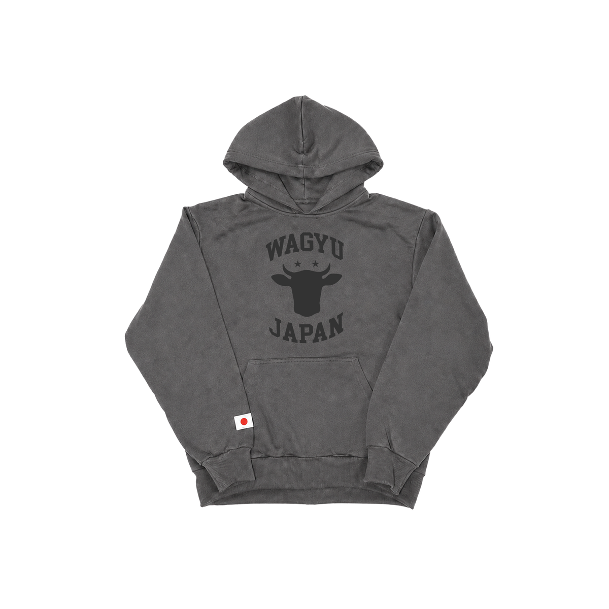 Collegiate Logo Pullover Hoodie Vintage Black