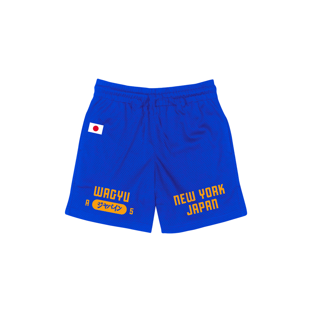 NYK Varsity Mesh Shorts
