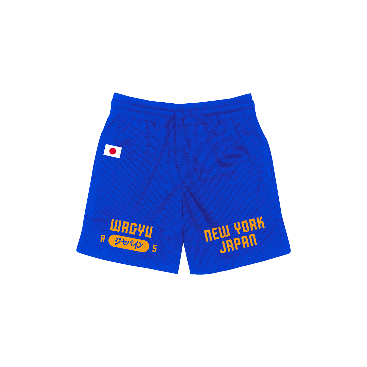 NYK Varsity Mesh Shorts